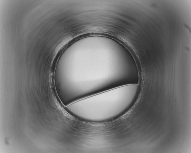 X0000101421029200807071026