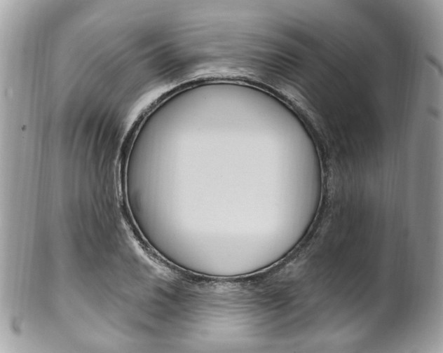 X0000101421030200807071026