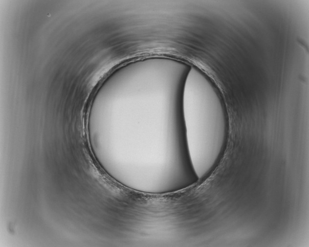 X0000101421031200807071026