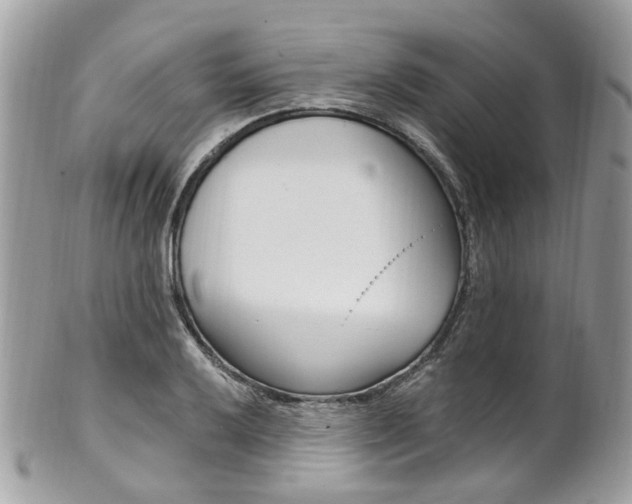 X0000101421032200807071026