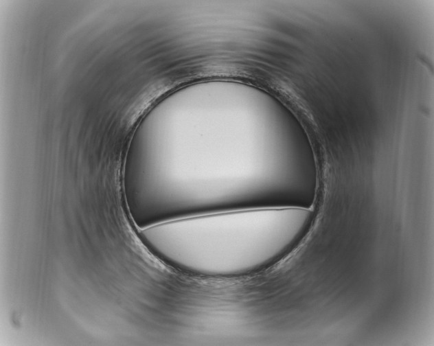 X0000101421033200807071026