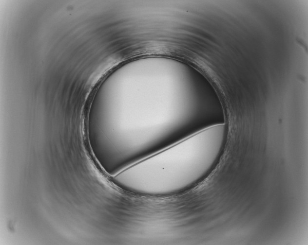 X0000101421034200807071026