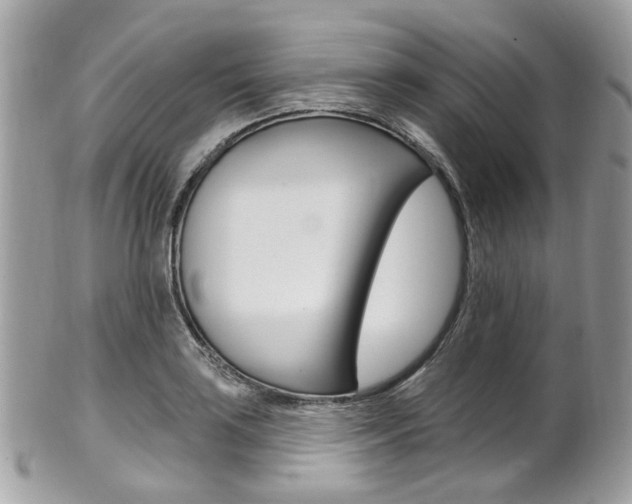 X0000101421035200807071026