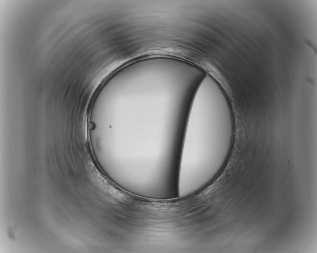 X0000101421036200807071026
