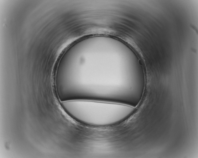 X0000101421037200807071026