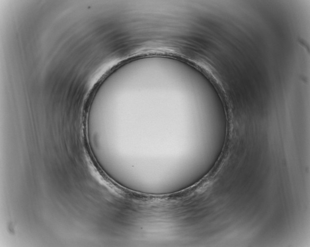 X0000101421038200807071026