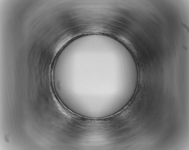 X0000101421039200807071026