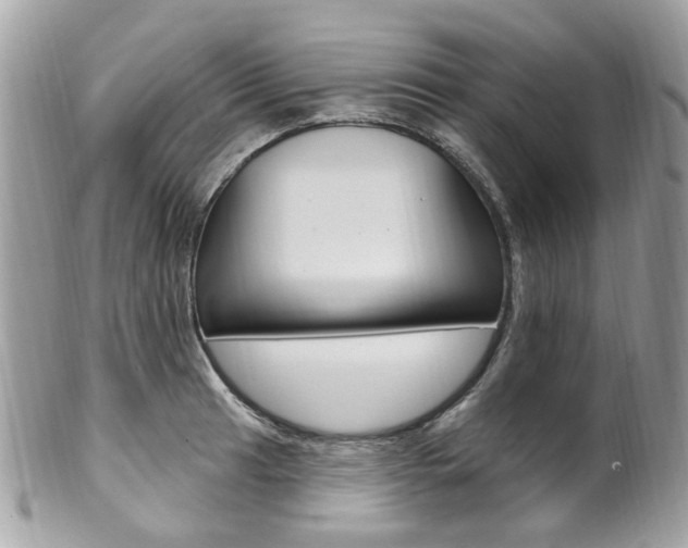 X0000101421041200807071026