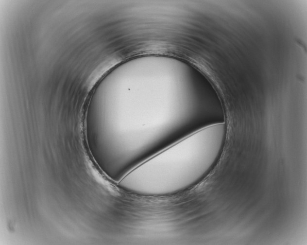 X0000101421042200807071026