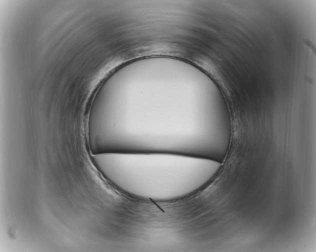 X0000101421043200807071026