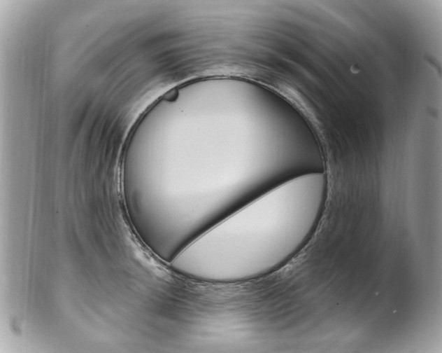 X0000101421044200807071026