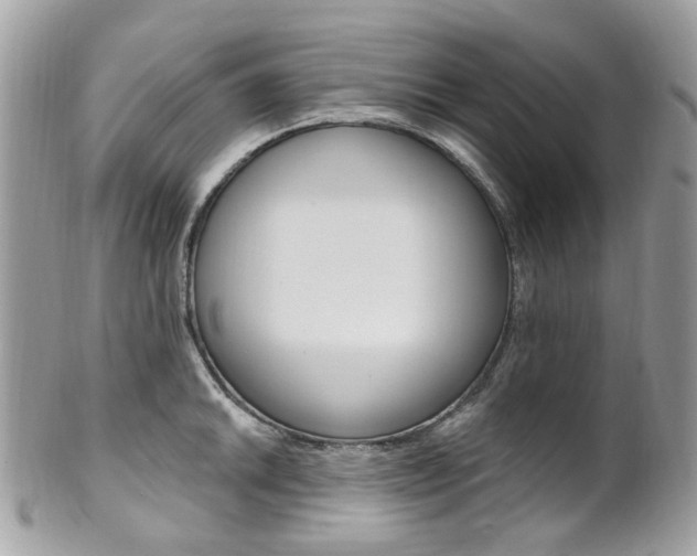 X0000101421046200807071026