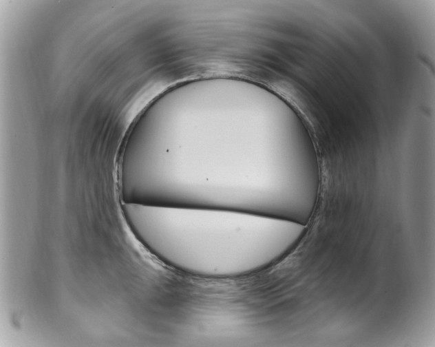 X0000101421047200807071026