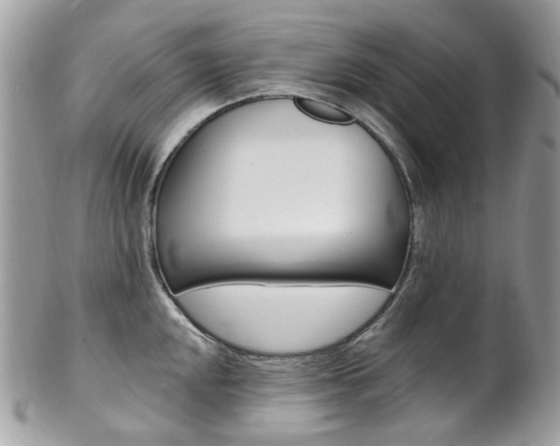 X0000101421048200807071026