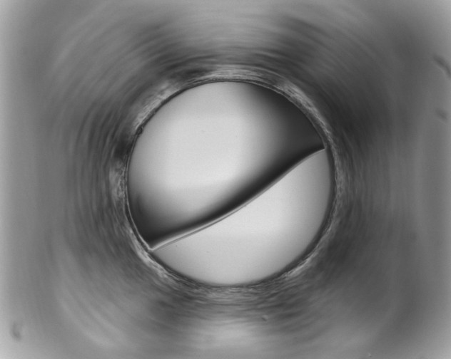 X0000101421049200807071026