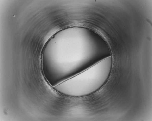 X0000101421050200807071026