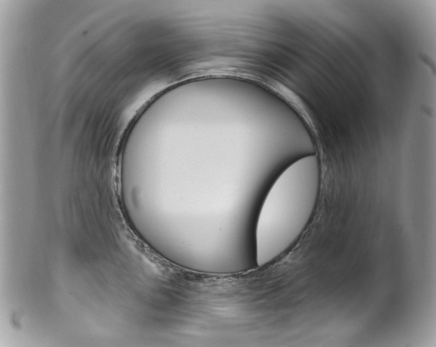 X0000101421051200807071026