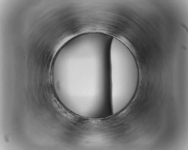 X0000101421052200807071026