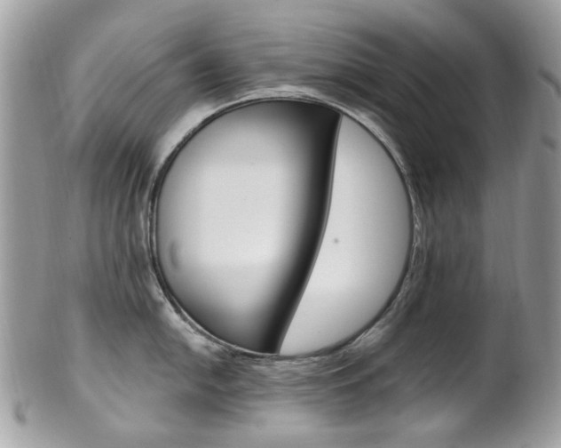 X0000101421054200807071026