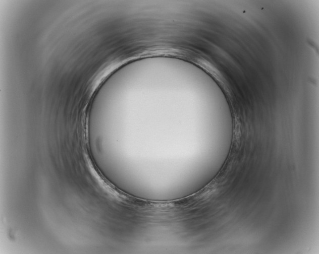 X0000101421055200807071026