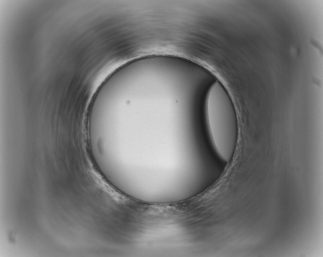 X0000101421056200807071026