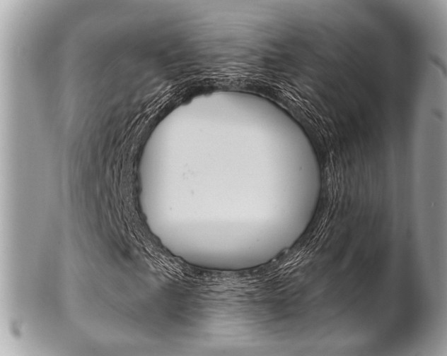 X0000101421057200807071026