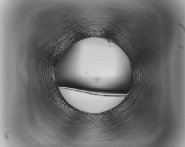 X0000101421058200807071026