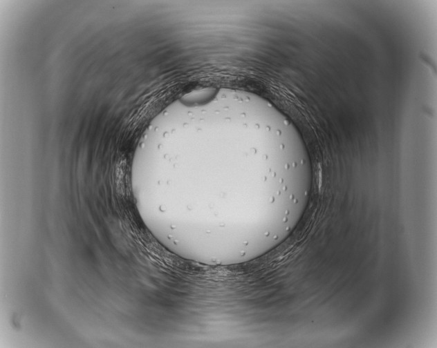 X0000101421059200807071026