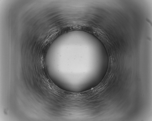 X0000101421060200807071025