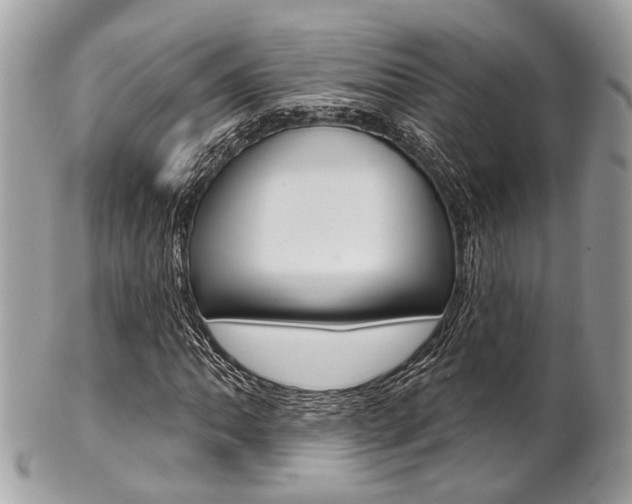 X0000101421062200807071025