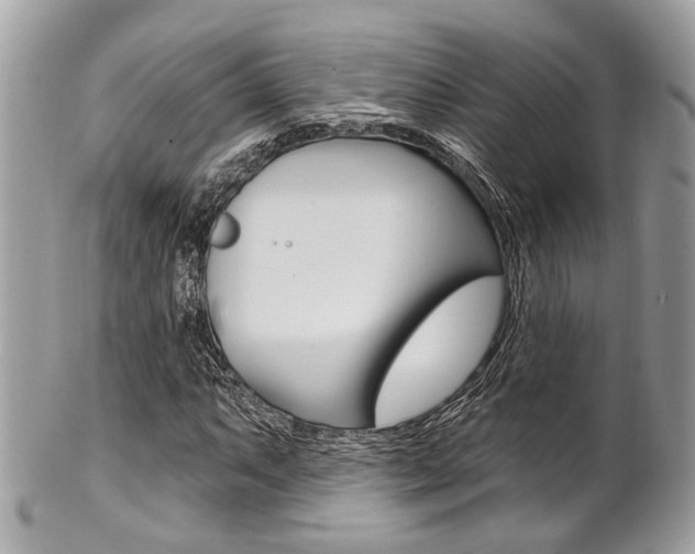 X0000101421063200807071025