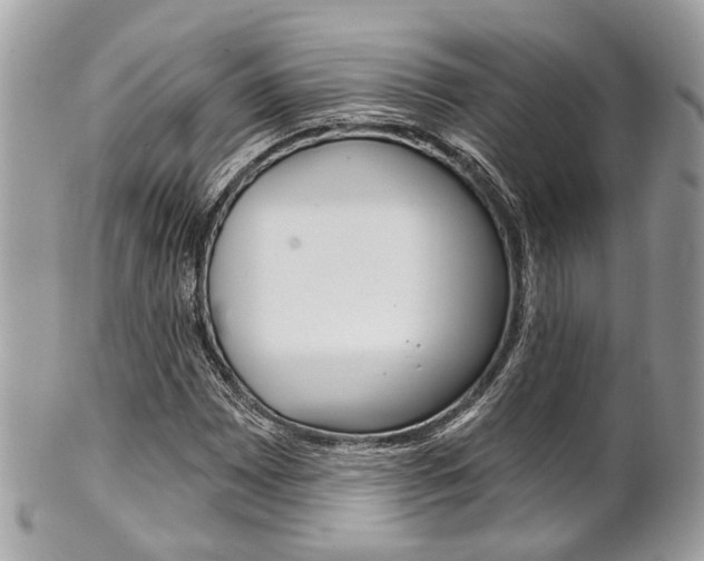 X0000101421065200807071025