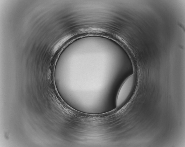 X0000101421066200807071025