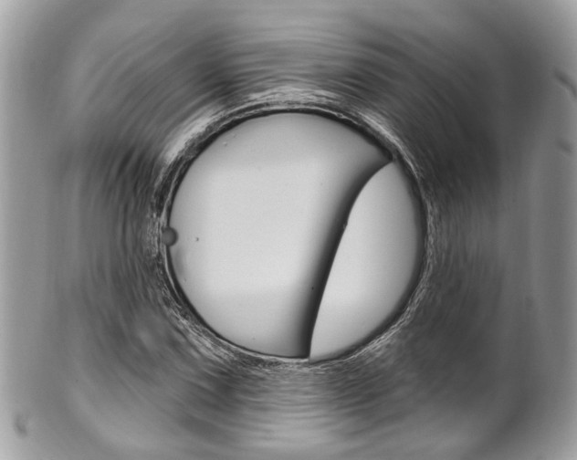 X0000101421067200807071025