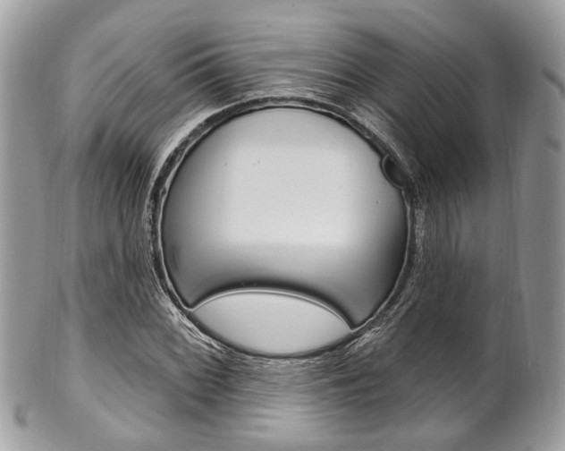 X0000101421068200807071025
