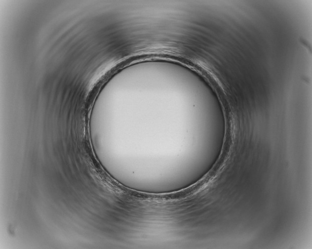 X0000101421069200807071025