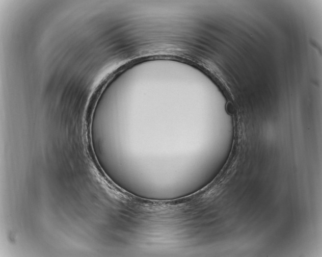 X0000101421072200807071025