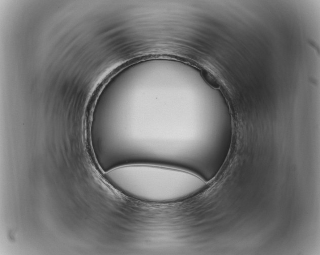 X0000101421076200807071025