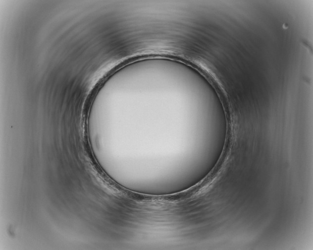 X0000101421077200807071025