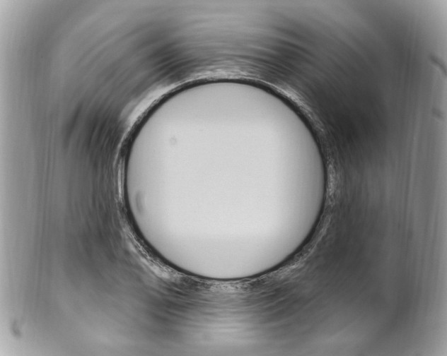 X0000101421078200807071025