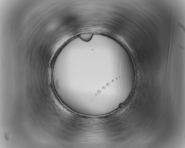 X0000101421079200807071025