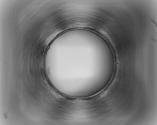 X0000101421081200807071025