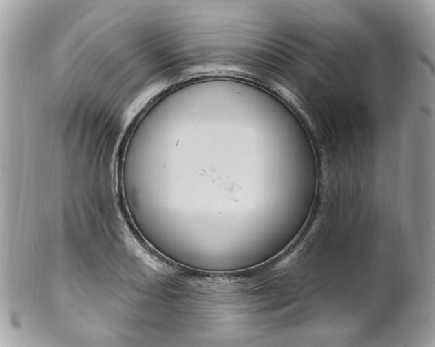 X0000101421082200807071025