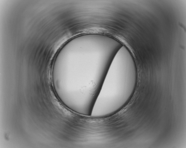 X0000101421083200807071025