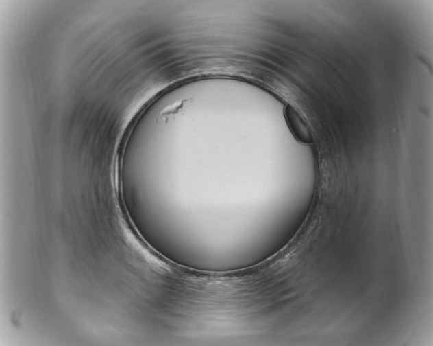 X0000101421084200807071025