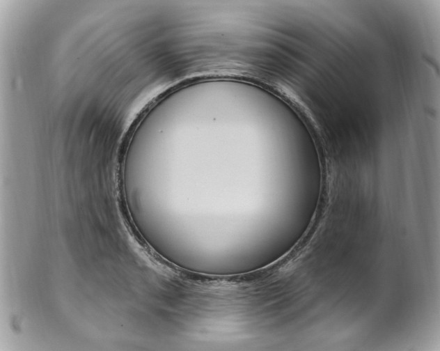 X0000101421085200807071025