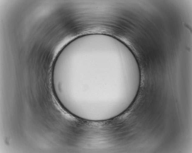 X0000101421086200807071025
