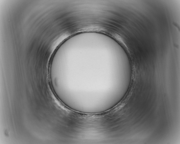 X0000101421087200807071025