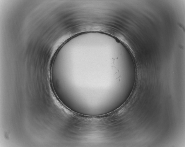 X0000101421088200807071025