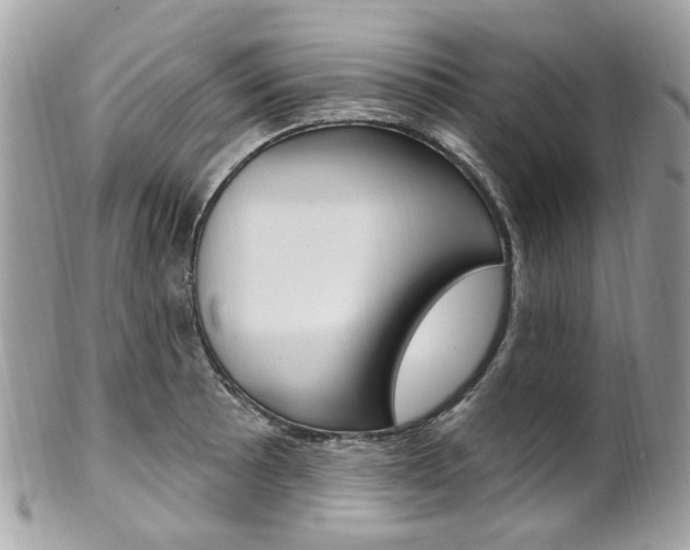 X0000101421089200807071025